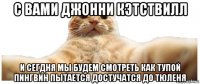 с вами джонни кэтствилл и сегдня мы будем смотреть как тупой пингвин пытается достучатся до тюленя