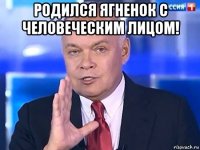 родился ягненок с человеческим лицом! 