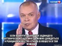  если покрутить большой задницей в ботаническом саду, иногда можно дождаться и реакции неизвестно откуда взявшегося там мужика