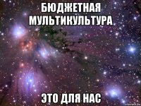 бюджетная мультикультура это для нас