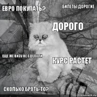 евро покупать? курс растет дорого сколько брать-то? еще же визу не сделали билеты дорогие    