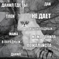 данил где ты мама данила не дает данил мама дай пожалуйста тлен в парадный в шоколадный