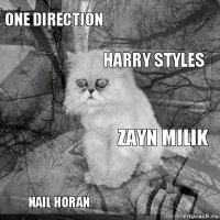 one direction zayn milik harry styles nail horan      