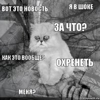 вот это новость охренеть за что? меня? как это вообще? я в шоке    