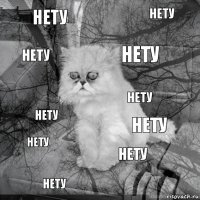 нету нету нету нету нету нету нету нету нету нету