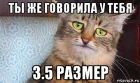 ты же говорила у тебя 3.5 размер