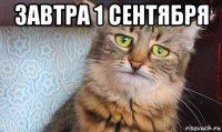 завтра 1 сентября 