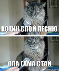 котик спой песню опа гама стай