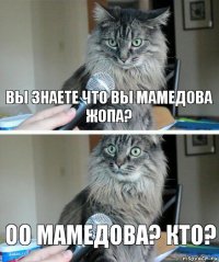 Вы знаете что вы Мамедова жопа? Оо Мамедова? Кто?