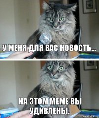 У меня для вас новость... На этом меме вы удивлены.