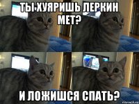 ты хуяришь леркин мет? и ложишся спать?