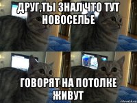 друг,ты знал что тут новоселье говорят на потолке живут