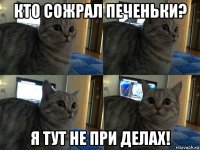 кто сожрал печеньки? я тут не при делах!