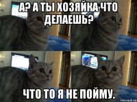 а? а ты хозяйка что делаешь? что то я не пойму.