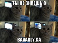 ты не знаешь о bavarly.ga