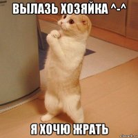 вылазь хозяйка ^-^ я хочю жрать