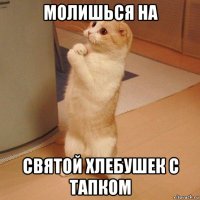 молишься на святой хлебушек с тапком