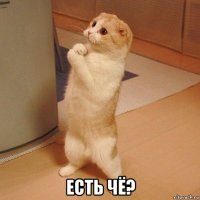  есть чё?