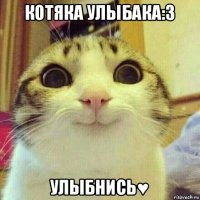 котяка улыбака:3 улыбнись♥