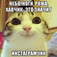 небо, ноги, рожа, хавчик- это значит инстаграмчик