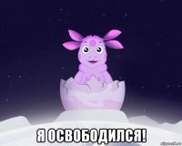  я освободился!