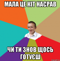 мала це кіт насрав чи ти знов щось готуєш