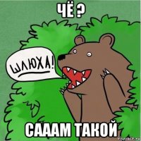 чё ? сааам такой