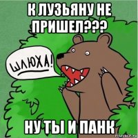 к лузьяну не пришел??? ну ты и панк