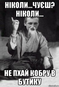 ніколи...чуєш? ніколи... не пхай кобру в бутику