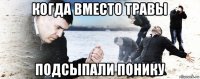 когда вместо травы подсыпали понику