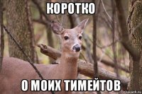 коротко о моих тимейтов