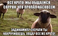 всё круто, мы общаемся, соррян, что пропал насовсем задинамил? схерали ты накручиваешь, овца? все же круто!