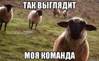 так выглядит моя команда