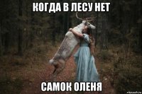 когда в лесу нет самок оленя