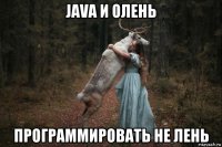 java и олень программировать не лень