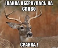 іванка обернулась на слово сранка !