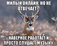 милый онлайн, но не отвечает... наверное работает и просто слушает музыку.