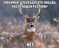 любимая, у тебя был кто-нибудь после нашей разлуки? -нет