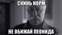 скинь норм не обижай леонида