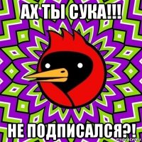 ах ты сука!!! не подписался?!