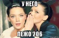 у него пежо 206