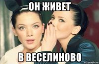 он живет в веселиново