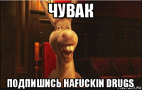 чувак подпишись наfuckin drugs