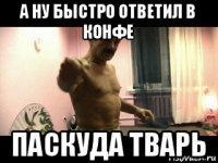 а ну быстро ответил в конфе паскуда тварь