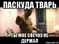 паскуда тварь ты мне свечку не держал