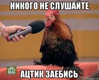 никого не слушайте ацтик заебись