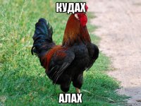 кудах алах