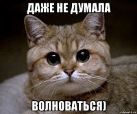 даже не думала волноваться)