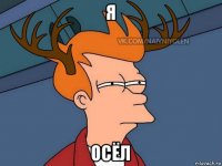 я осёл