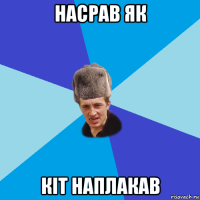 насрав як кіт наплакав